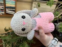 Agrandir l'image, .JPEG 2,2 Mo (fenêtre modale)