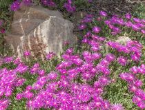 Agrandir l'image, .JPG 1,5 Mo (fenêtre modale)